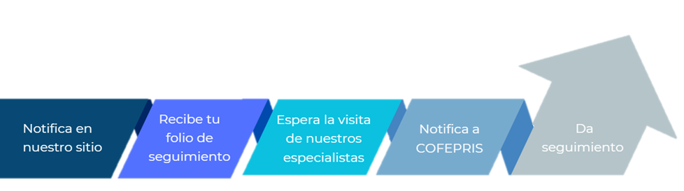 Proceso de notificación